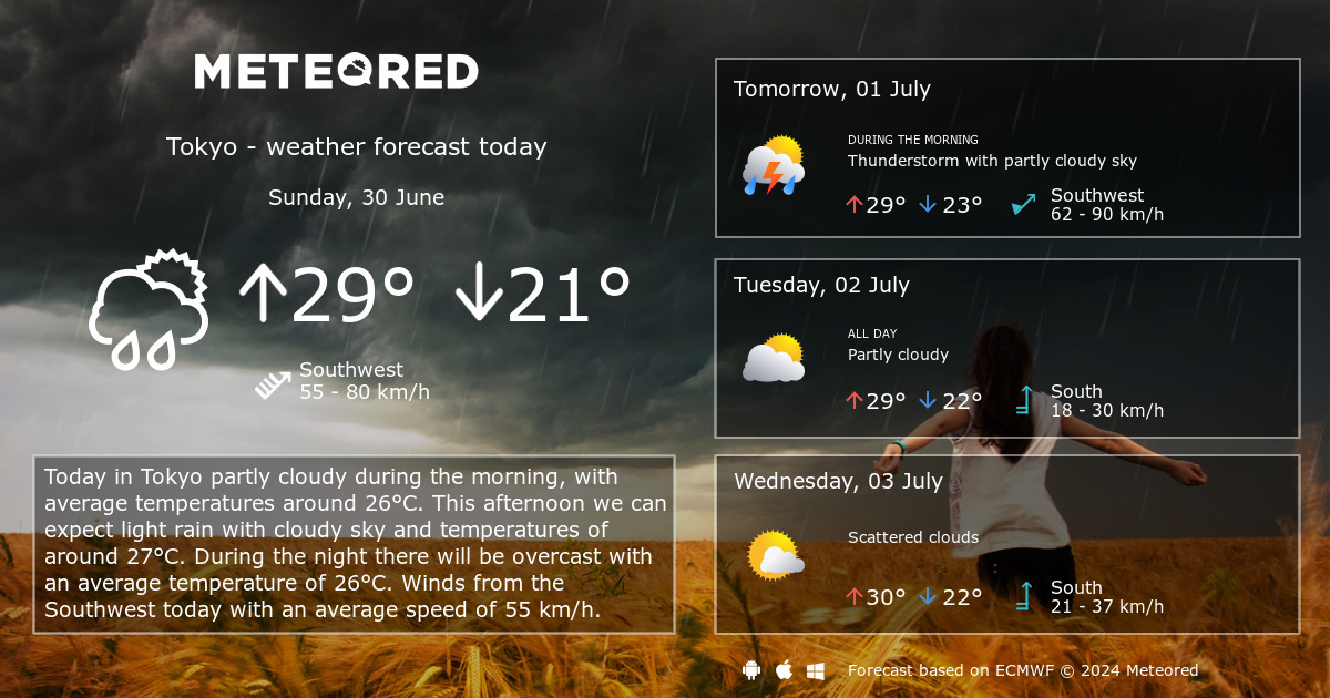 Tokyo, Japan 14 day weather forecast