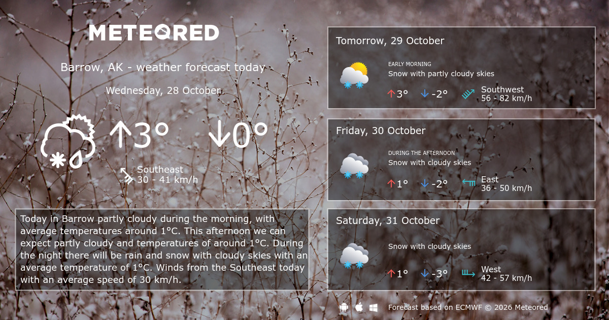 Weather Barrow, AK 14 days - Meteored Canada