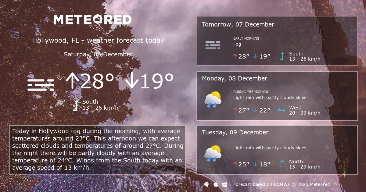Weather Hollywood, FL 14 days Meteored