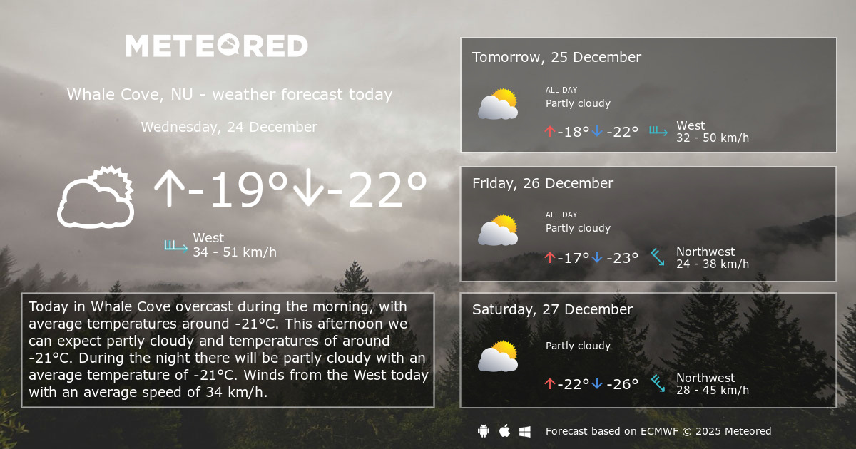 Weather Whale Cove, NU 14 days Meteored