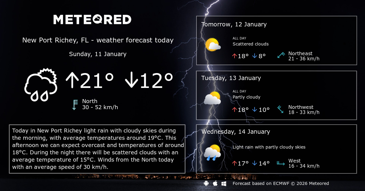 Weather New Port Richey, FL 14 days Meteored
