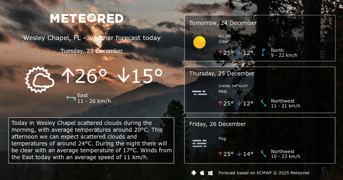 Weather Wesley Chapel, FL 14 days Meteored